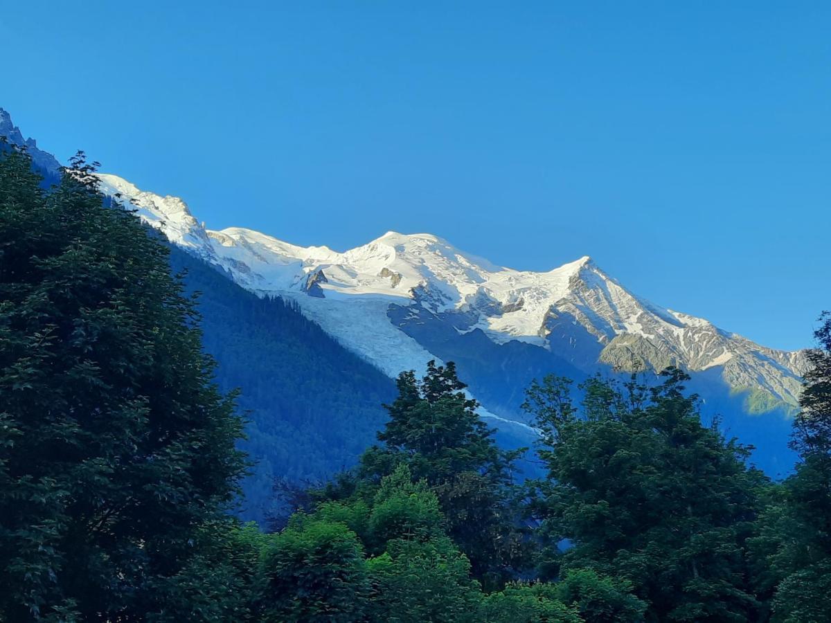 Le Yama Appartement Chamonix Buitenkant foto